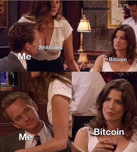 btc shitcoins