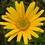 Thomas_79